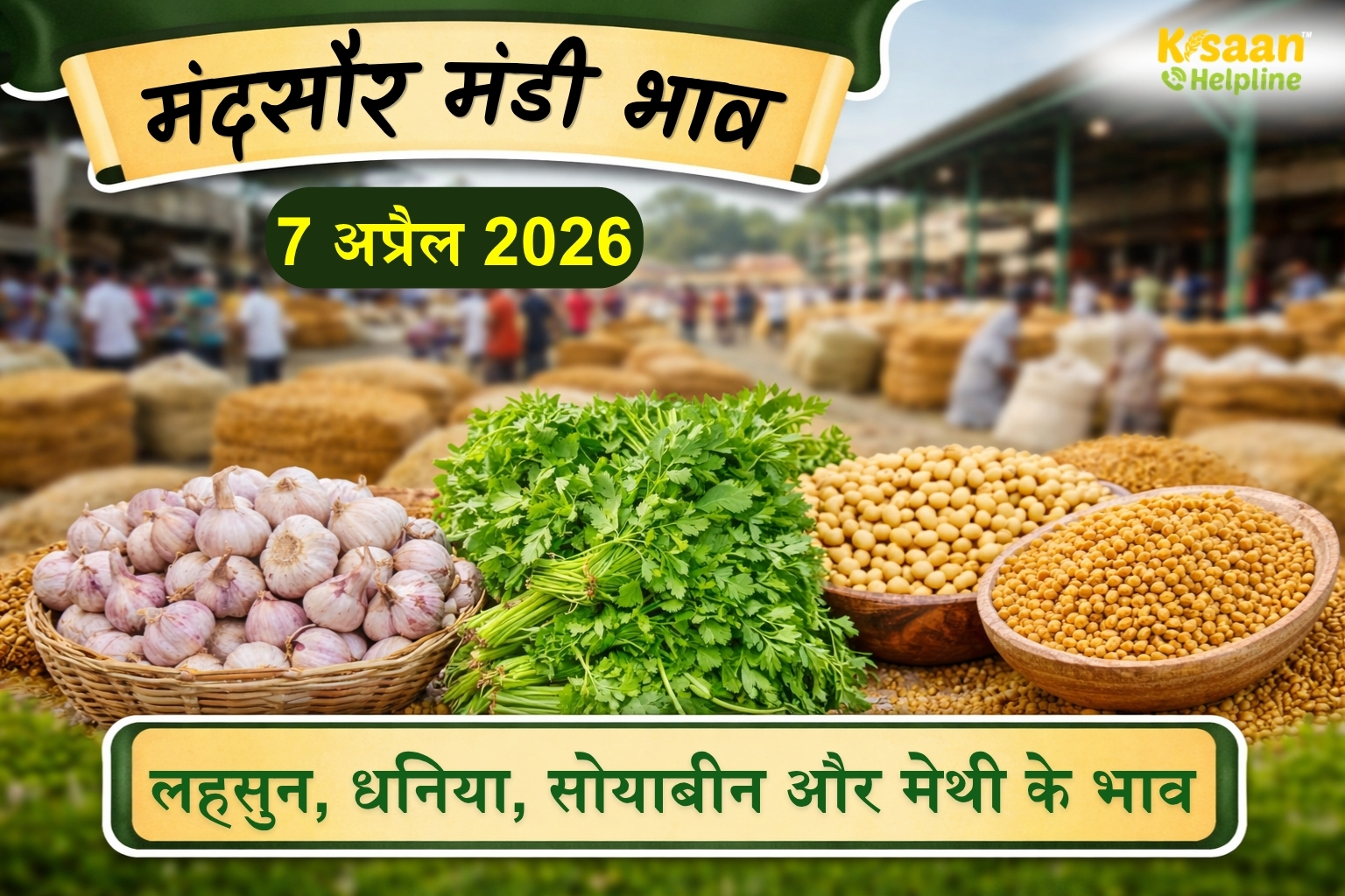मंदसौर मंडी रिपोर्ट: लहसुन, धनिया और चिया बीज के मजबूत भाव, जानें 7 अप्रैल के मंडी भाव