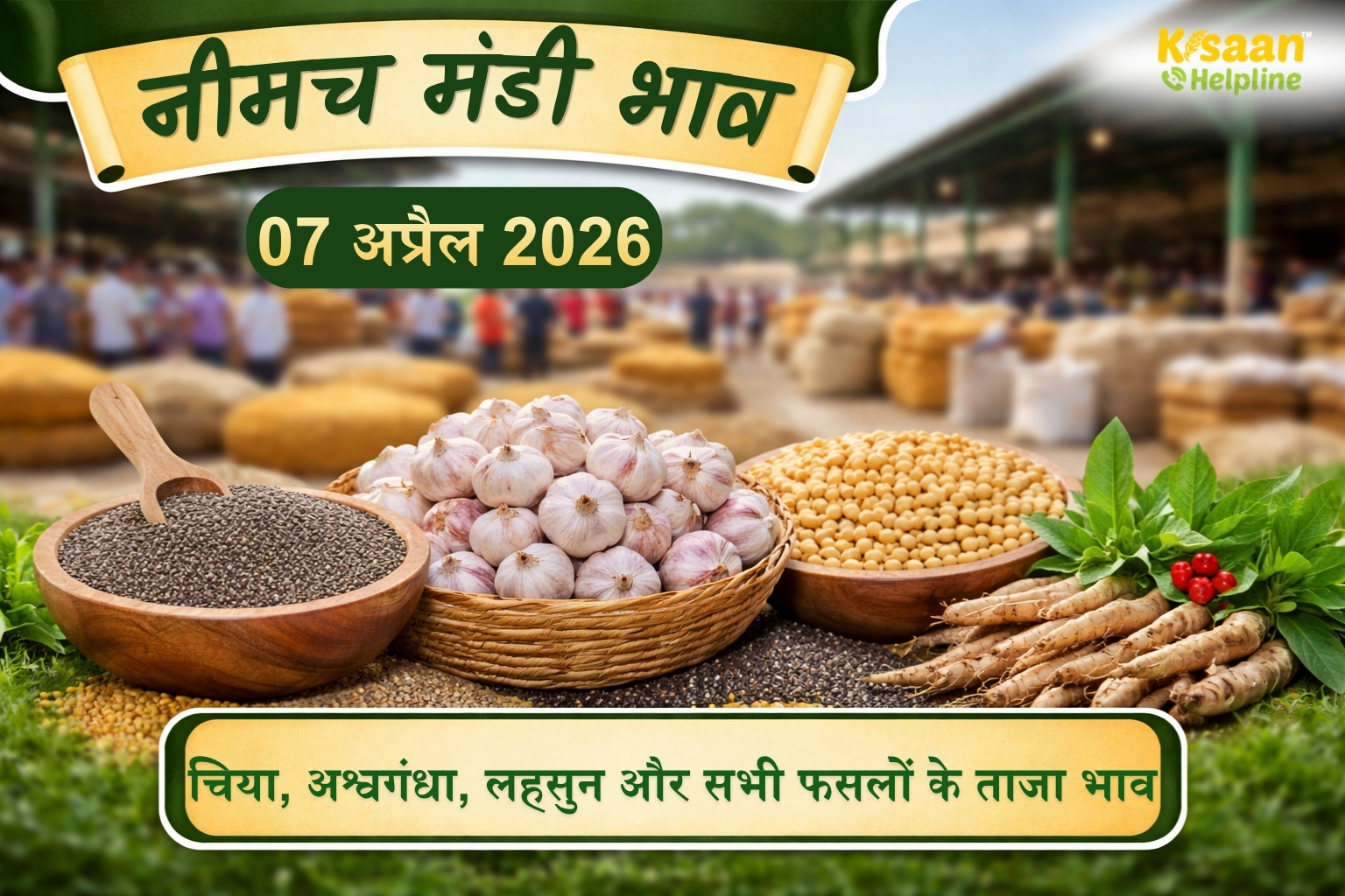 नीमच मंडी भाव 07 अप्रैल 2026: चिया, अश्वगंधा, लहसुन और अन्य सभी फसलों के रेट एक नजर में