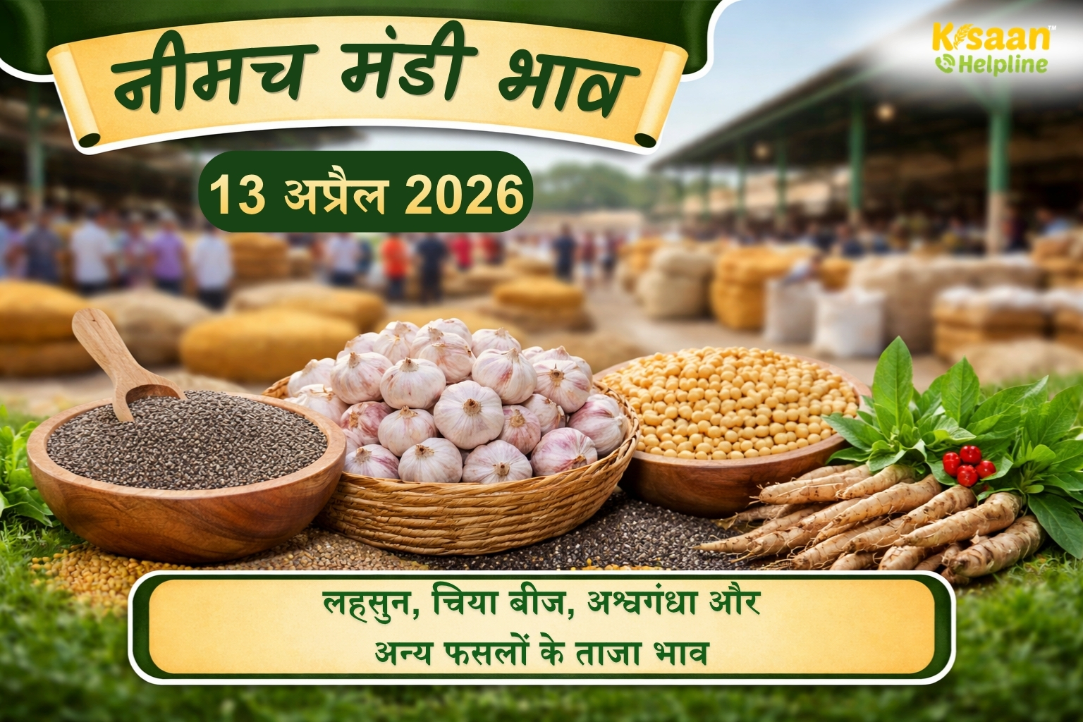 नीमच मंडी भाव : 13 अप्रैल को चिया, लहसुन और धनिया के क्या रहे रेट, देखें सभी फसलों के ताजा भाव