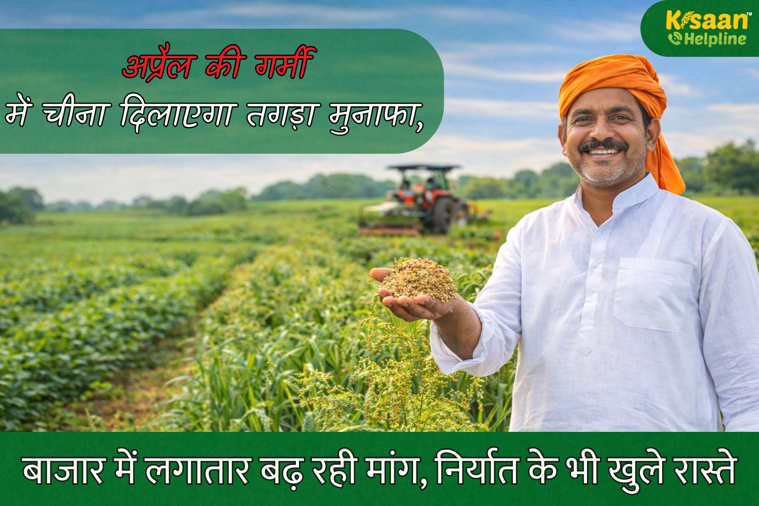 अप्रैल में चीना की खेती से बढ़ेगी किसानों की आय, 60–70 दिन में तैयार होकर देता है ज्यादा मुनाफा