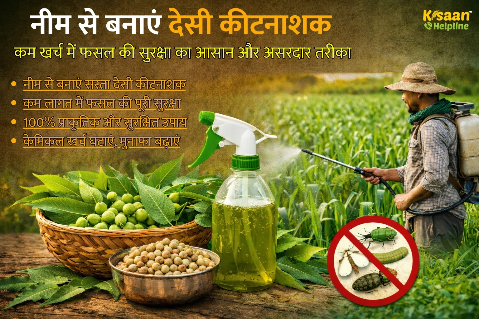 नीम से बनाएं देसी कीटनाशक, कम लागत में फसल की सुरक्षा का असरदार तरीका