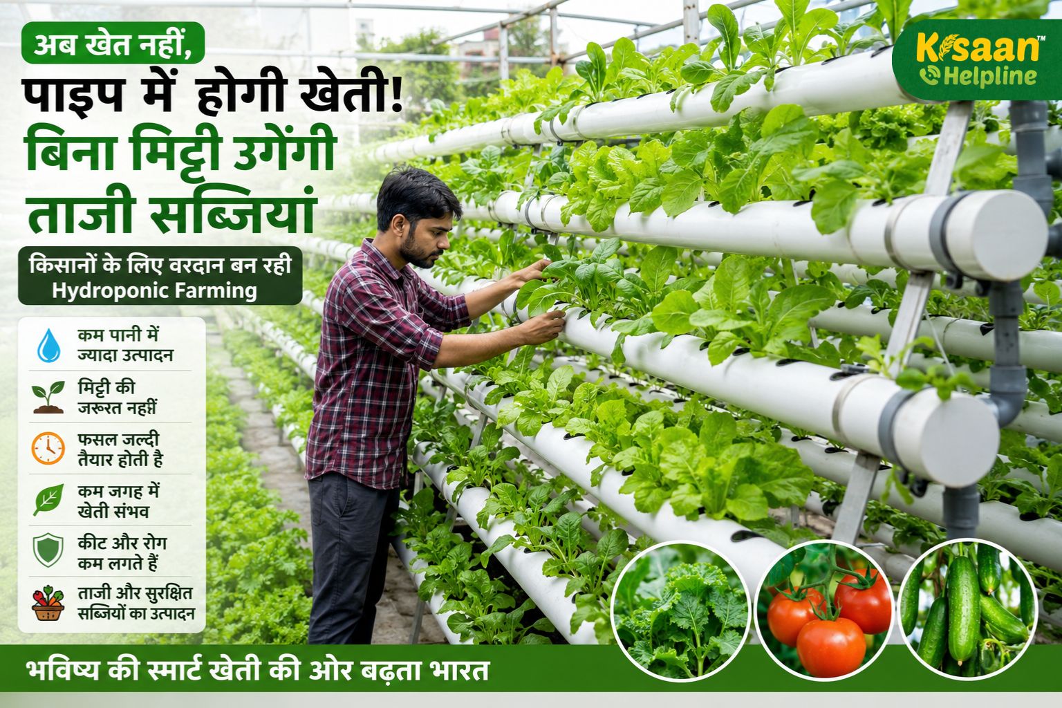 अब खेत नहीं, पाइप में होगी खेती! बिना मिट्टी उगेंगी ताजी सब्जियां, किसानों के लिए वरदान बन रही Hydroponic Farming
