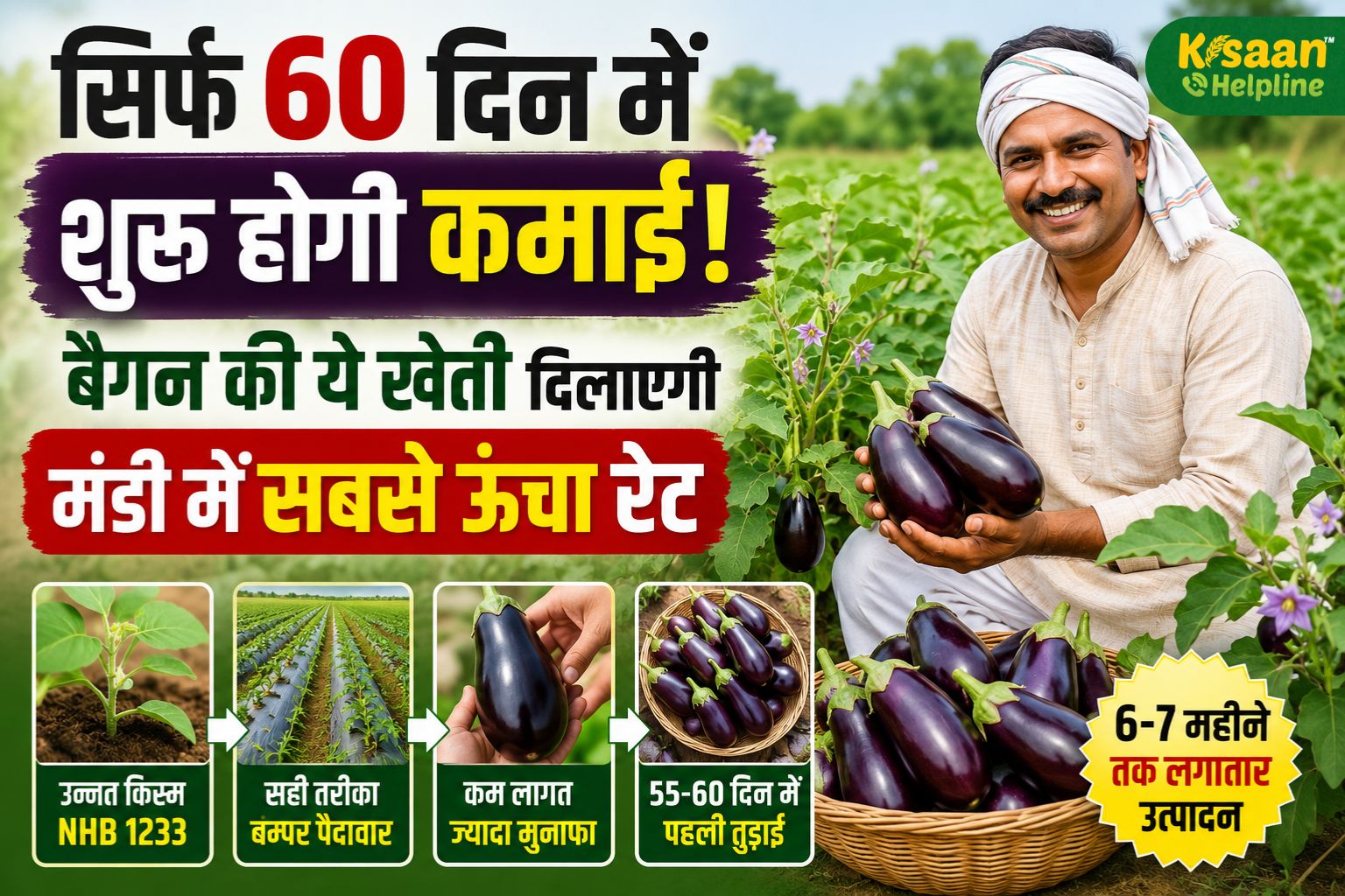 सिर्फ 60 दिन में शुरू होगी कमाई! बैंगन की ये खेती दिलाएगी मंडी में सबसे ऊंचा रेट