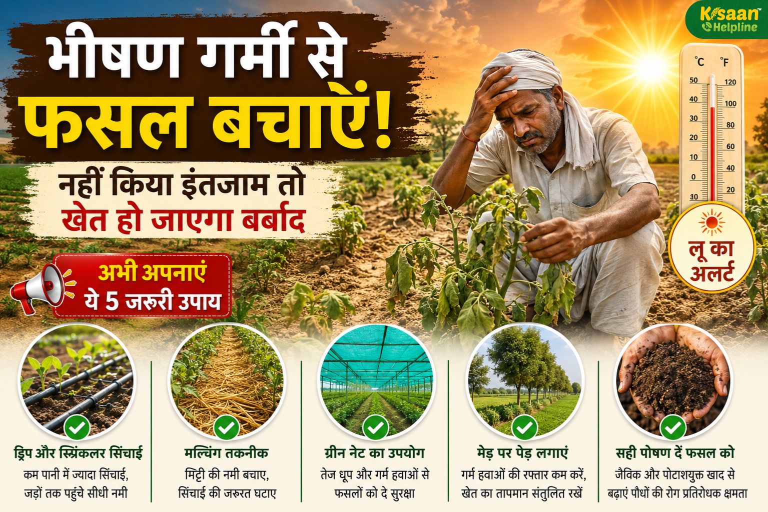 भीषण गर्मी से सूख सकती है आपकी फसल! अभी नहीं संभले तो खेत हो जाएगा बर्बाद, किसान तुरंत करें ये 5 बड़े उपाय