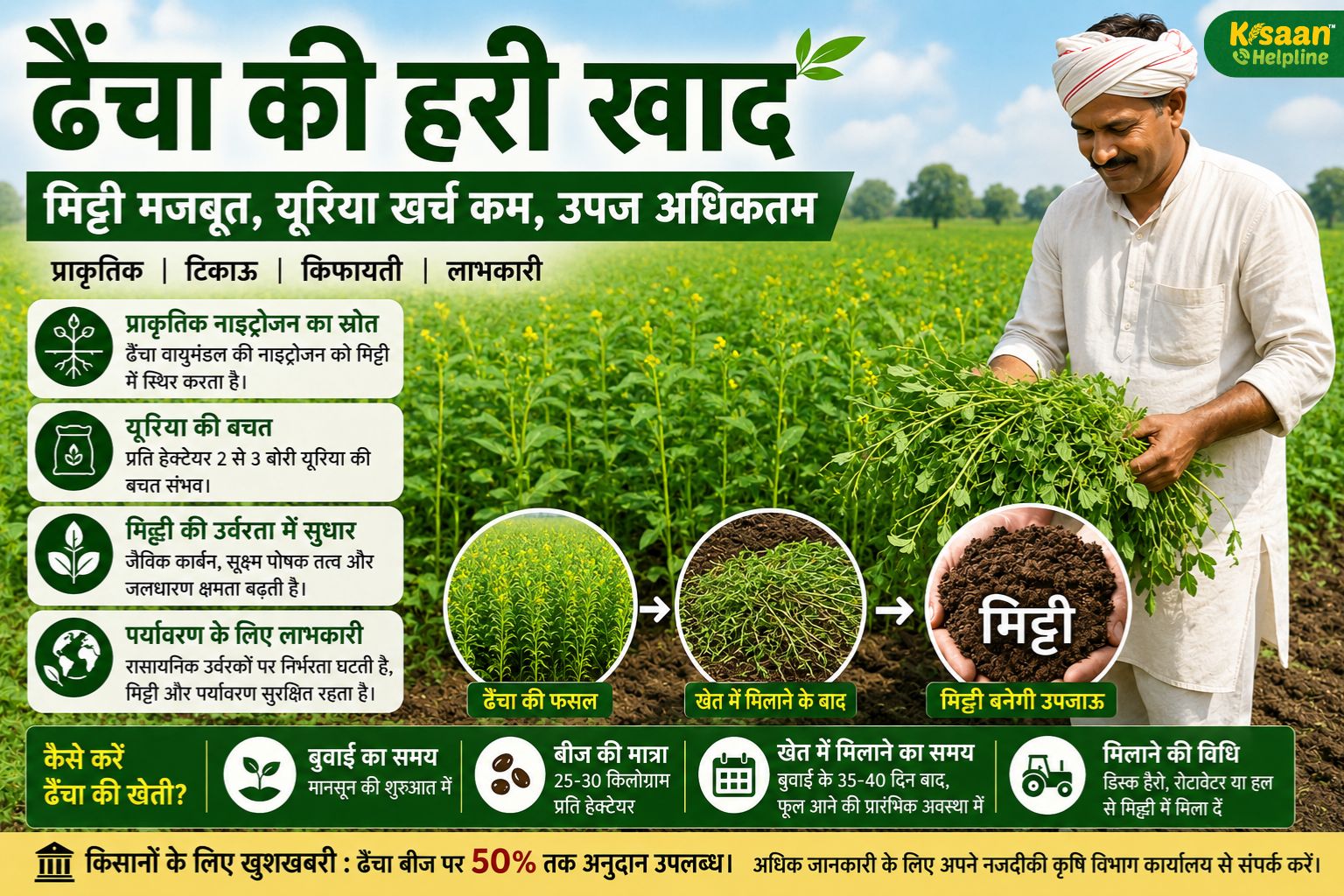 ढैंचा की हरी खाद से घटेगा यूरिया खर्च, बढ़ेगी मिट्टी की ताकत: किसानों के लिए लाभ का सौदा