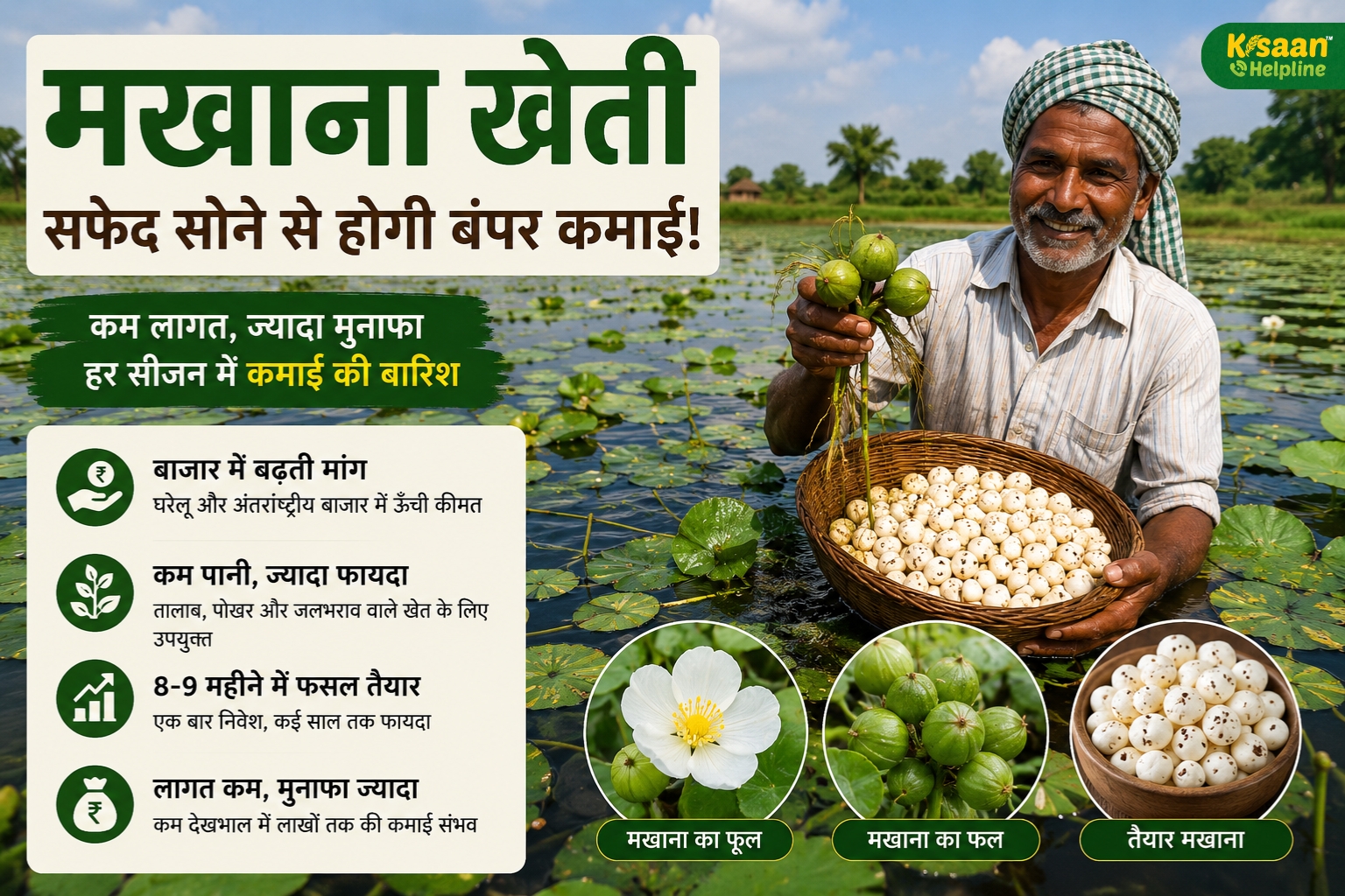 सफेद सोना बन रही यह फसल, किसानों के लिए खोल रही है कमाई के नए रास्ते