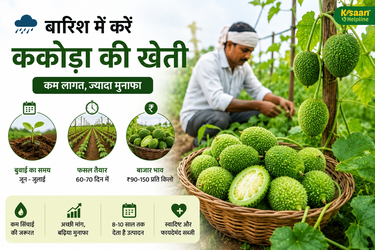 बारिश में किसानों के लिए कमाई का सुनहरा मौका, ककोड़ा की खेती से हो सकता है तगड़ा मुनाफा
