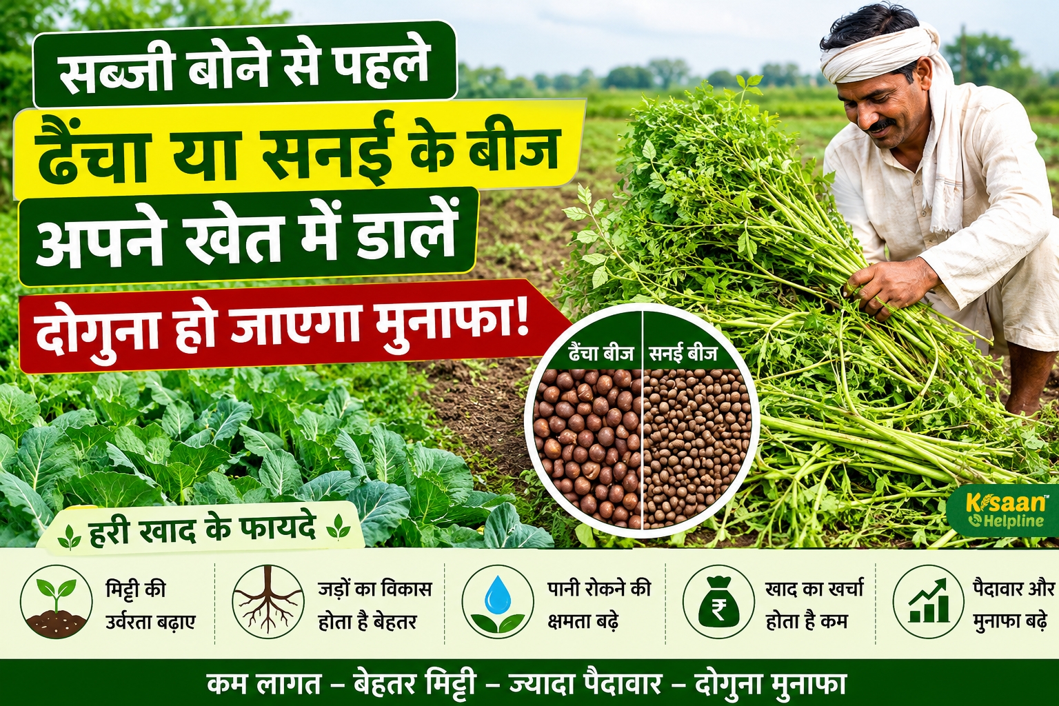 सब्जी की खेती में बढ़ाना चाहते हैं मुनाफा? बुवाई से पहले खेत में डालें ये हरी खाद, मिट्टी बनेगी उपजाऊ
