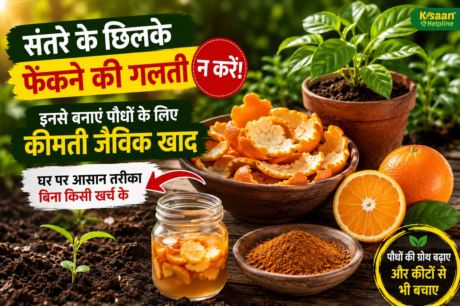 संतरे के छिलके फेंकने की गलती न करें! घर बैठे बनाएं पौधों के लिए मुफ्त की जैविक खाद