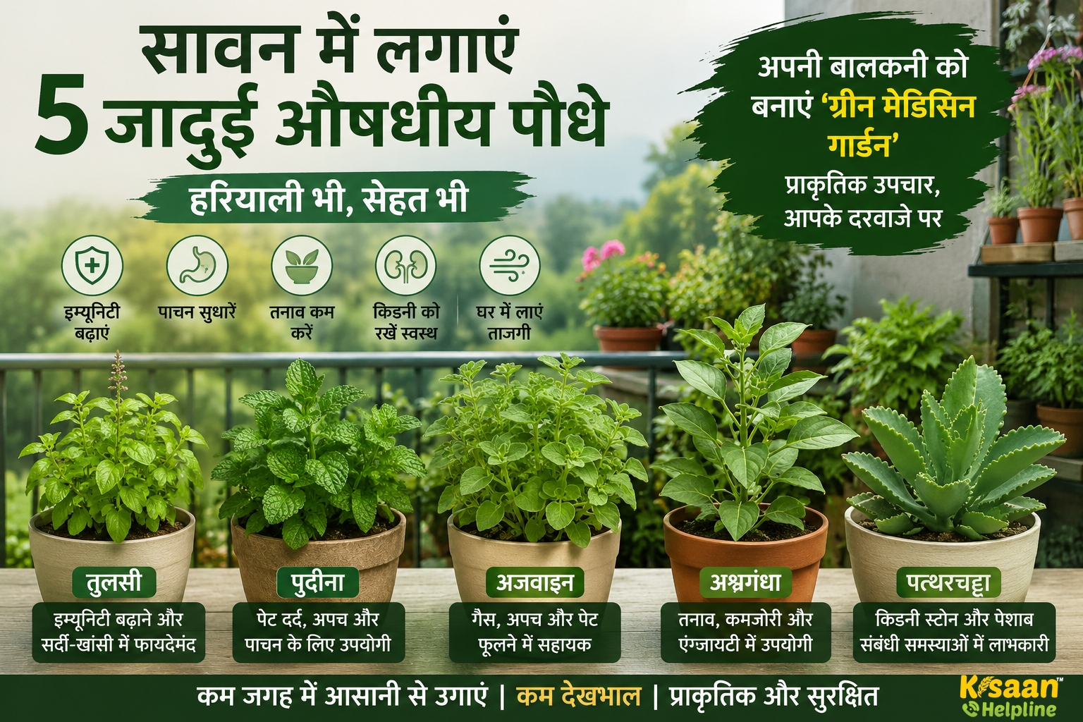 सावन में घर की बालकनी बनाएं 'ग्रीन मेडिसिन गार्डन, ये 5 औषधीय पौधे देंगे हरियाली के साथ सेहत का साथ
