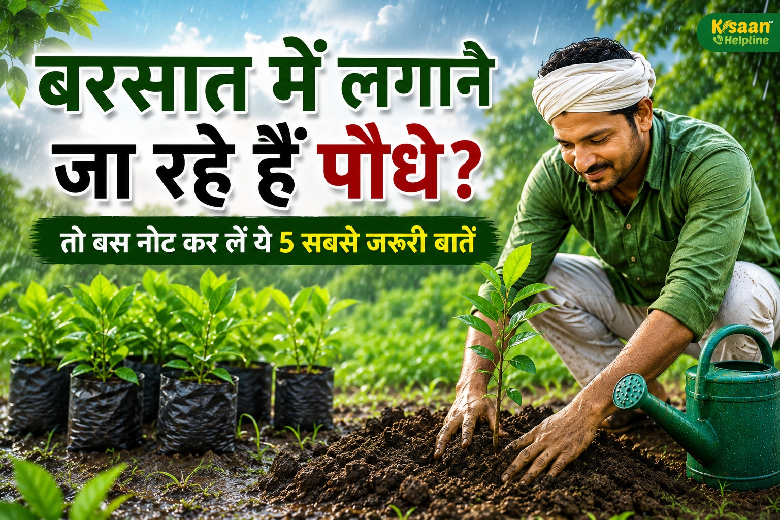 मानसून में पौधे लगाने से पहले करें ये 5 तैयारी छोटी-सी सावधानी से पौधे बनेंगे मजबूत और तेजी से बढ़ेंगे