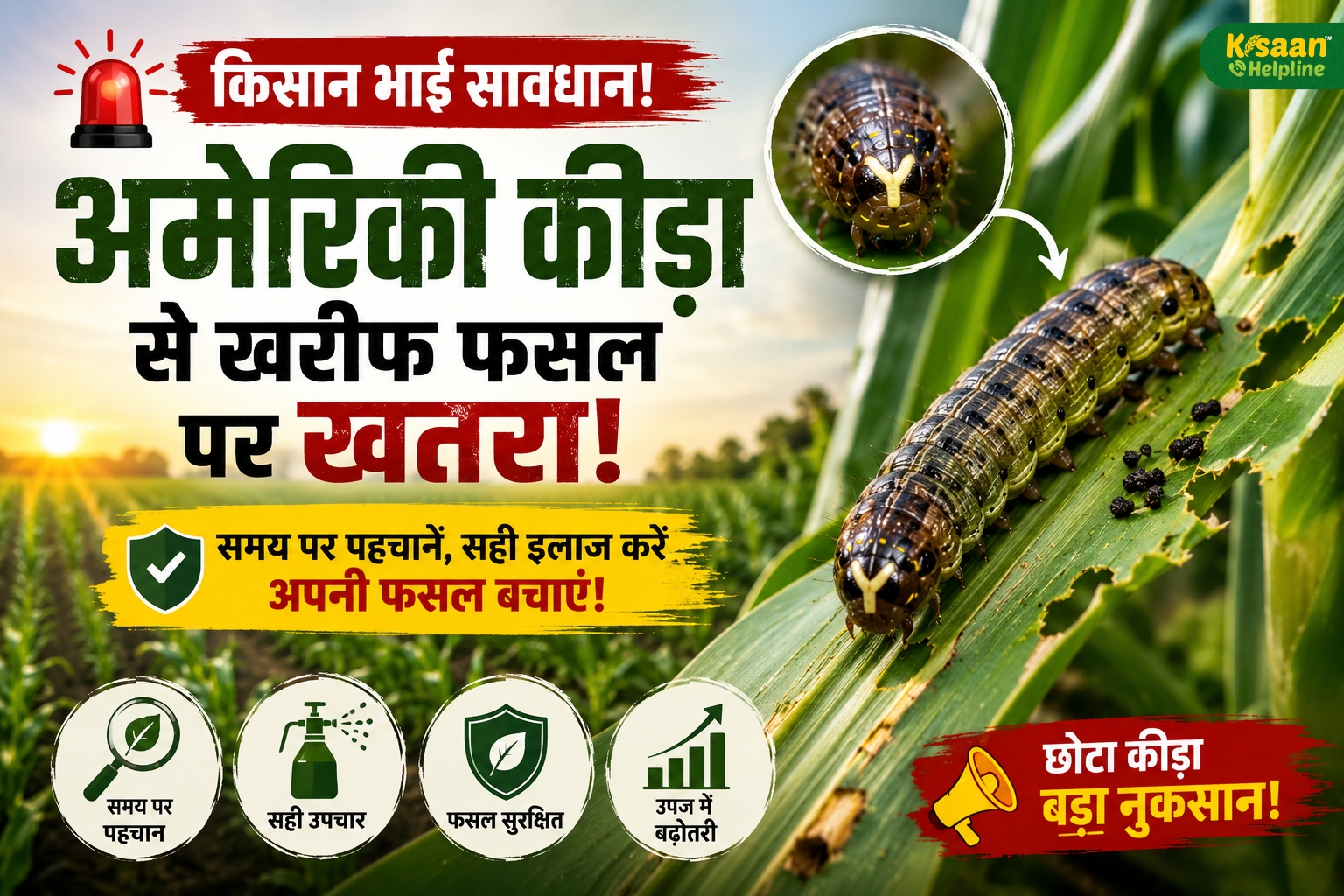 किसान भाई सावधान! खरीफ फसल पर मंडरा रहा अमेरिकी कीड़े का खतरा, समय रहते करें ये उपाय