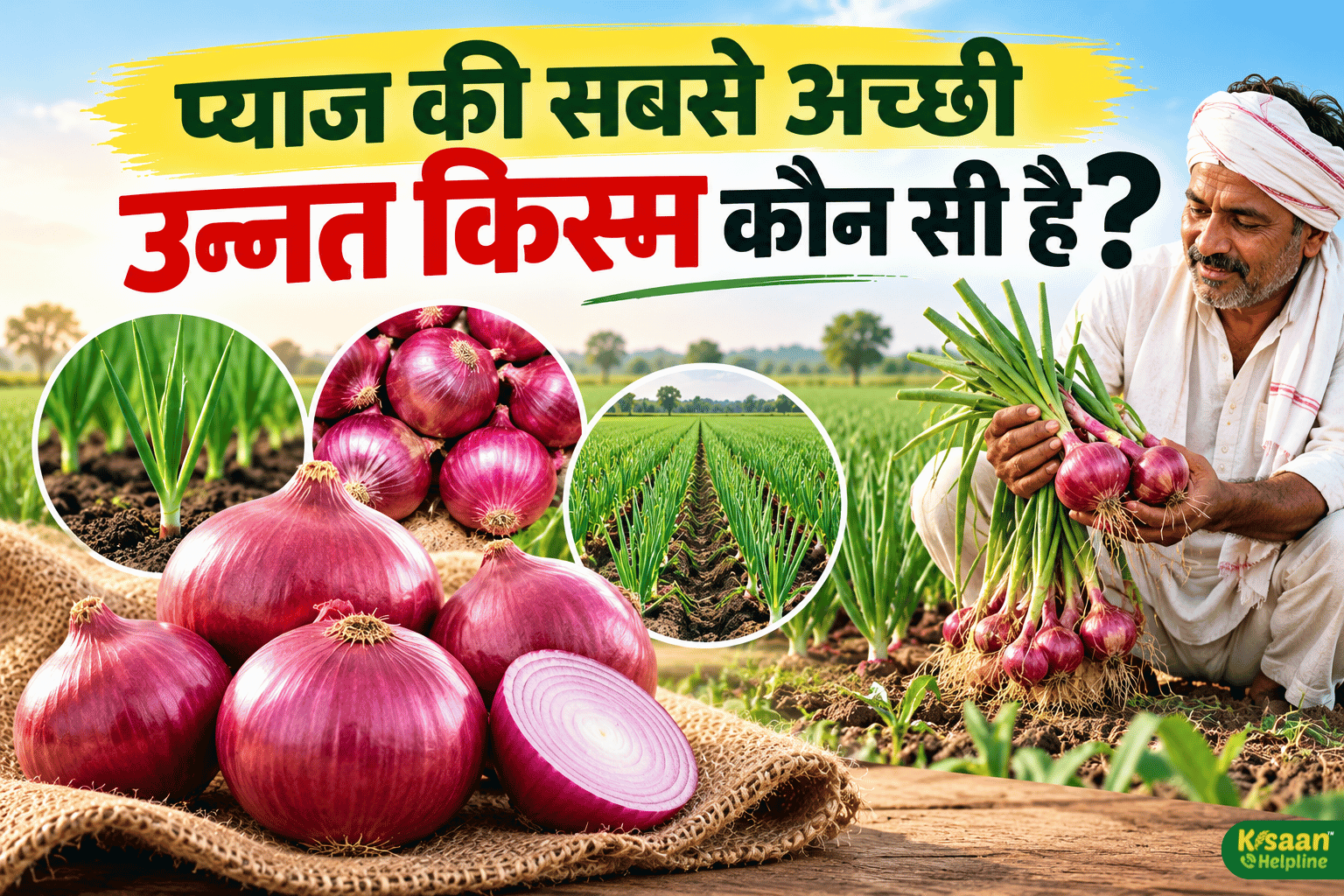 प्याज की खेती में सही किस्म का चुनाव बेहद जरूरी, जानिए कौन सी किस्म से मिल सकती है अच्छी पैदावार