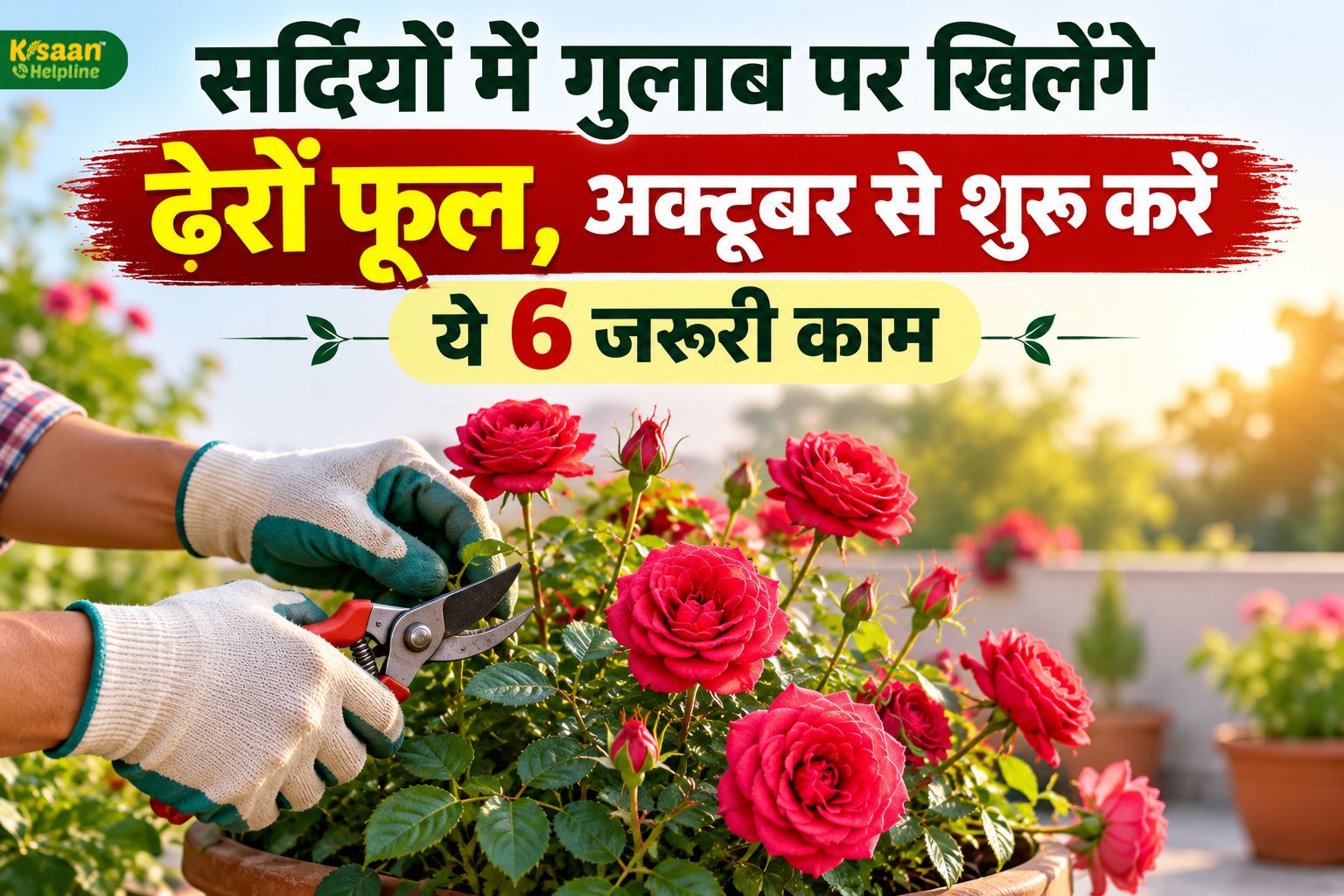 सर्दियों में गुलाब पर खिलेंगे ढेरों फूल, अक्टूबर से शुरू करें ये 6 जरूरी काम