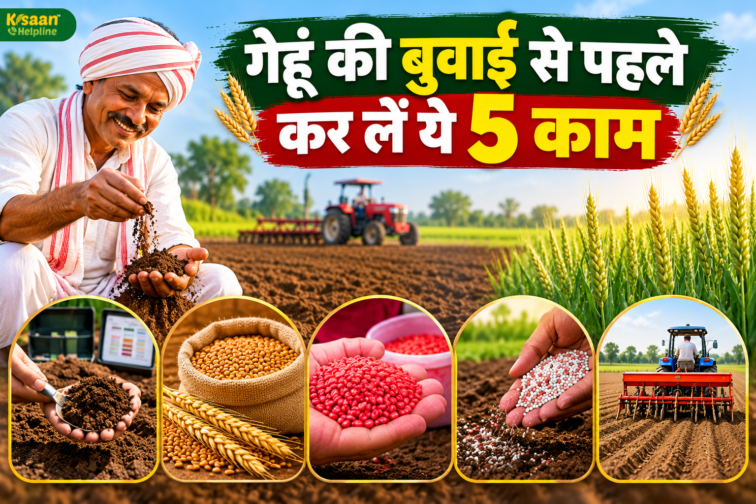गेहूं की बुवाई से पहले कर लें ये 5 काम, अच्छी पैदावार के लिए किसान न करें ये गलतियां