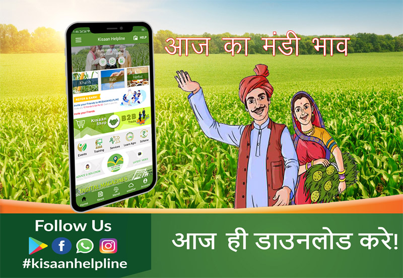 नीमच, मंदसौर, इंदौर आज क मंडी भाव 18/02/2019