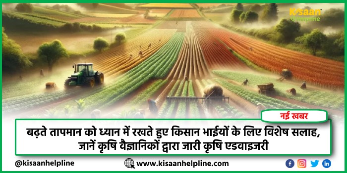 बढ़ते तापमान को ध्यान में रखते हुए किसान भाईयों के लिए विशेष सलाह, जानें कृषि वैज्ञानिकों द्वारा जारी कृषि एडवाइजरी बढ़ते तापमान को ध्यान में रखते हुए किसान भाईयों के लिए विशेष सलाह, जानें कृषि वैज्ञानिकों द्वारा जारी कृषि एडवाइजरी