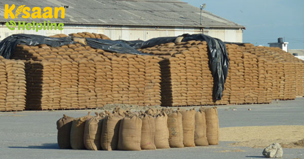 पंजाब के सीएम ने पीएम को लिखा पत्र, किसानों के गेहूं के आगमन में देरी के लिए माँगा प्रोत्साहन पंजाब के सीएम ने पीएम को लिखा पत्र, किसानों के गेहूं के आगमन में देरी के लिए माँगा प्रोत्साहन