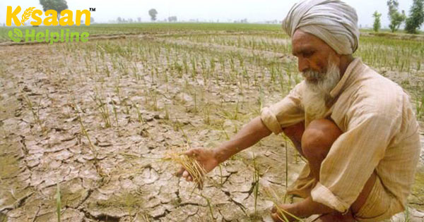 सरकार ने 2020-21 फसल वर्ष के लिए खाद्यान्न उत्पादन का लक्ष्य रिकॉर्ड 298.3 मिलियन टन निर्धारित किया सरकार ने 2020-21 फसल वर्ष के लिए खाद्यान्न उत्पादन का लक्ष्य रिकॉर्ड 298.3 मिलियन टन निर्धारित किया