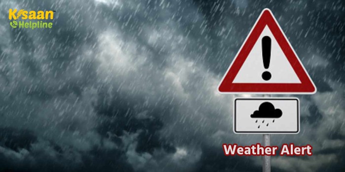 Weather Forecast: आज और कल इन राज्यों में बारिश और आंधी की सम्भावना, मौसम विभाग ने की भविष्यवाणी Weather Forecast: आज और कल इन राज्यों में बारिश और आंधी की सम्भावना, मौसम विभाग ने की भविष्यवाणी
