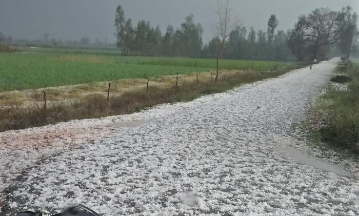 मौसम की मार, सब पर भारी , जाने कहा हुई बारिश और कहा गिरे ओले मौसम की मार, सब पर भारी , जाने कहा हुई बारिश और कहा गिरे ओले