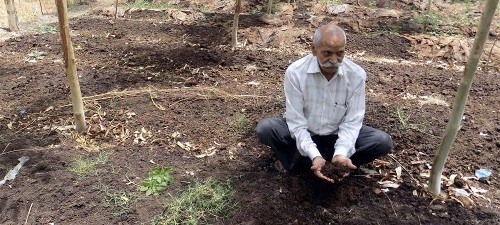 केचुओं से कमाई के सिखाते हैं तरीके ये है किसानो के गुरु केचुओं से कमाई के सिखाते हैं तरीके ये है किसानो के गुरु