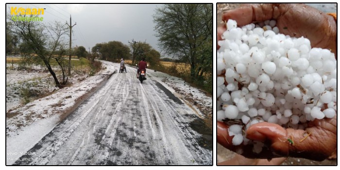 मंदसौर जिला बना शिमला, बारिश के साथ भारी ओलावृष्टि, अपनी फसल बर्बाद होता देखकर किसान मायूस मंदसौर जिला बना शिमला, बारिश के साथ भारी ओलावृष्टि, अपनी फसल बर्बाद होता देखकर किसान मायूस