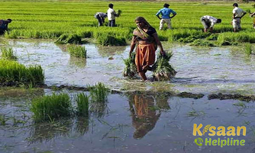इस साल हो सकती है, अच्छी बारिश ! 95% सामान्य मानसून का अनुमान: IMD इस साल हो सकती है, अच्छी बारिश ! 95% सामान्य मानसून का अनुमान: IMD