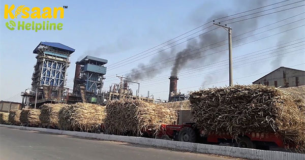 भारत 15 अप्रैल तक 247.80 लाख टन चीनी का उत्पादन करता है, यह पिछले साल की तुलना में 20 प्रतिशत कम भारत 15 अप्रैल तक 247.80 लाख टन चीनी का उत्पादन करता है, यह पिछले साल की तुलना में 20 प्रतिशत कम