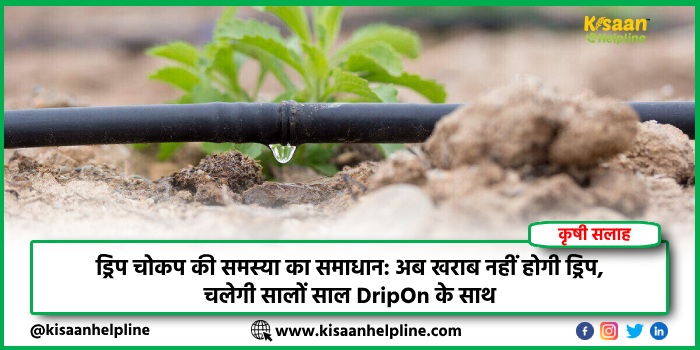 ड्रिप चोकप की समस्या का समाधान: अब खराब नहीं होगी ड्रिप, चलेगी सालों साल DripOn के साथ ड्रिप चोकप की समस्या का समाधान: अब खराब नहीं होगी ड्रिप, चलेगी सालों साल DripOn के साथ