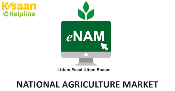 ई-एनएएम मंच 21 राज्यों/केंद्र में 1,000 मंडियों का एकीकरण हासिल कर लिया है: केंद्र ई-एनएएम मंच 21 राज्यों/केंद्र में 1,000 मंडियों का एकीकरण हासिल कर लिया है: केंद्र