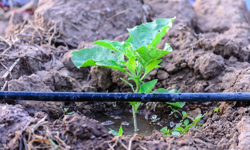 झारखंड सरकार किसानों के फसल बीमा की राशि के प्रीमियम का भुगतान करेगी झारखंड सरकार किसानों के फसल बीमा की राशि के प्रीमियम का भुगतान करेगी