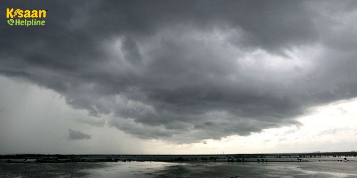 IMD Weather Alert : मौसम विभाग ने जारी की चेतावनी, रहें सावधान, इन राज्यों में बारिश का अलर्ट IMD Weather Alert : मौसम विभाग ने जारी की चेतावनी, रहें सावधान, इन राज्यों में बारिश का अलर्ट