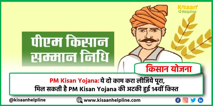 PM Kisan Yojana: ये दो काम करा लीजिये पूरा, मिल सकती है PM Kisan Yojana की अटकी हुई 14वीं किस्त
