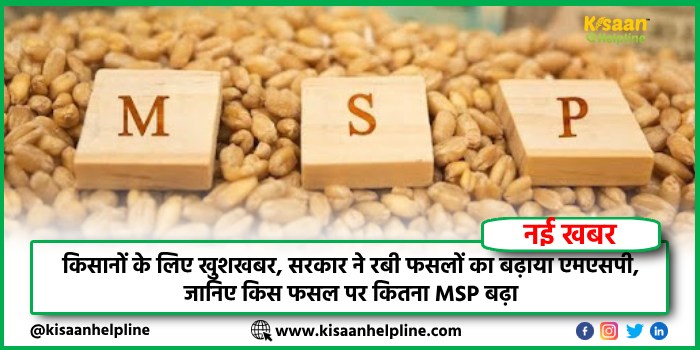किसानों के लिए खुशखबर, सरकार ने रबी फसलों का बढ़ाया एमएसपी, जानिए किस फसल पर कितना MSP बढ़ा किसानों के लिए खुशखबर, सरकार ने रबी फसलों का बढ़ाया एमएसपी, जानिए किस फसल पर कितना MSP बढ़ा