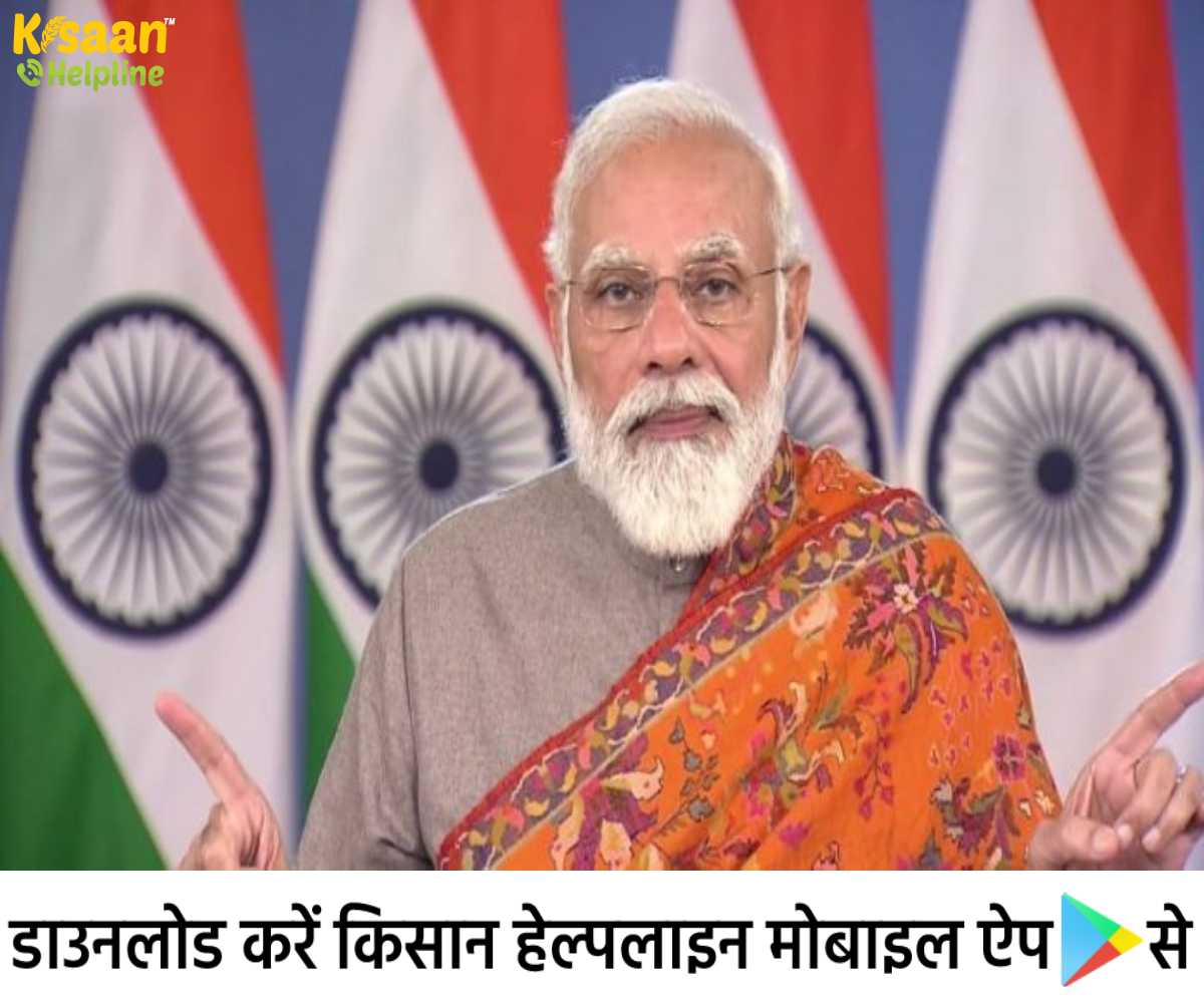 Latest News: प्रधानमंत्री नरेन्द्र मोदी द्वारा कृषि कानून वापस किए जाने की घोषणा, साथ ही जीरो बजट खेती को बढ़ावा देगी सरकार Latest News: प्रधानमंत्री नरेन्द्र मोदी द्वारा कृषि कानून वापस किए जाने की घोषणा, साथ ही जीरो बजट खेती को बढ़ावा देगी सरकार