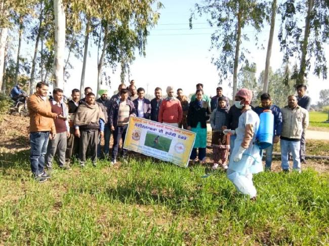 किसान कीटनाशक का प्रयोग ना करें फसलों पर किसान कीटनाशक का प्रयोग ना करें फसलों पर