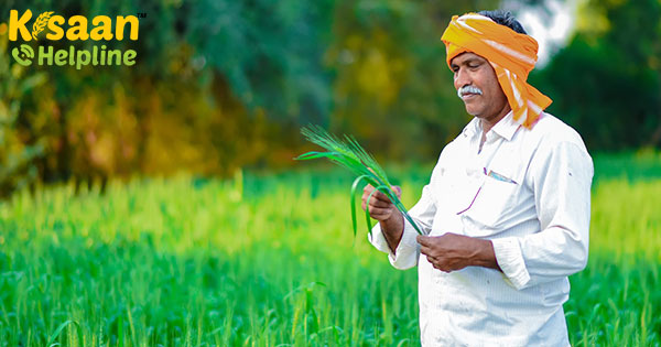 किसानों के लिए राहत: MHA का कहना है कि 20 अप्रैल, 2020 से कृषि गतिविधियों पर अनुमति दी गयी है किसानों के लिए राहत: MHA का कहना है कि 20 अप्रैल, 2020 से कृषि गतिविधियों पर अनुमति दी गयी है