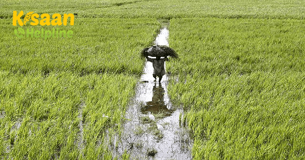 कृषि उत्पादों की मांग-आपूर्ति पर सरकार की कड़ी निगरानी कृषि उत्पादों की मांग-आपूर्ति पर सरकार की कड़ी निगरानी