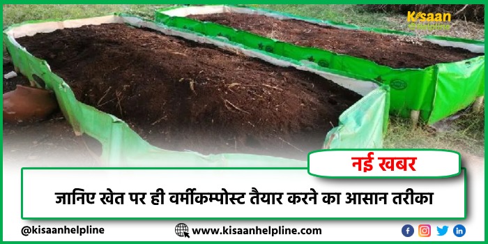 जानिए खेत पर ही वर्मीकम्पोस्ट तैयार करने का आसान तरीका जानिए खेत पर ही वर्मीकम्पोस्ट तैयार करने का आसान तरीका