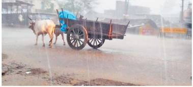 24 घंटे में नहीं हुई तेज बारिश तो बदलेगी जलप्रदाय व्यवस्था 24 घंटे में नहीं हुई तेज बारिश तो बदलेगी जलप्रदाय व्यवस्था