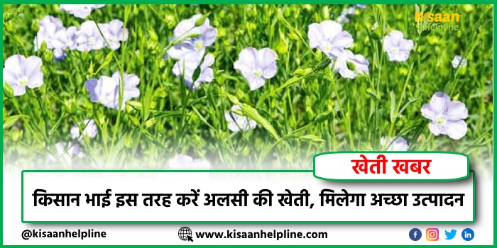 किसान भाई इस तरह करें अलसी की खेती, मिलेगा अच्छा उत्पादन