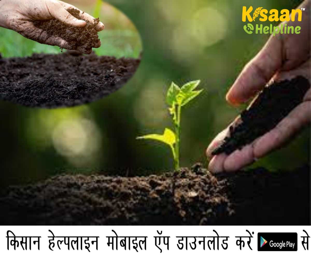 कृषि समाचार: मध्य प्रदेश जवाहरलाल कृषि विश्वविद्यालय के वैज्ञानिकों ने बंपर उत्पादन के लिए 15 प्रकार की जैविक खाद विकसित की कृषि समाचार: मध्य प्रदेश जवाहरलाल कृषि विश्वविद्यालय के वैज्ञानिकों ने बंपर उत्पादन के लिए 15 प्रकार की जैविक खाद विकसित की