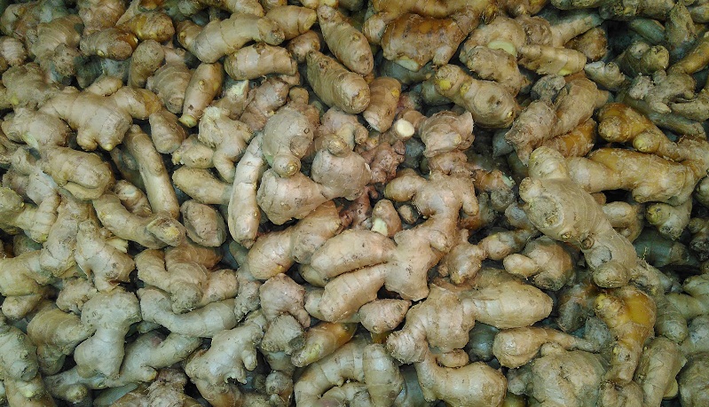 'एसिड अदरक' दे रहा है, दोगुना आमदनी 'एसिड अदरक' दे रहा है, दोगुना आमदनी