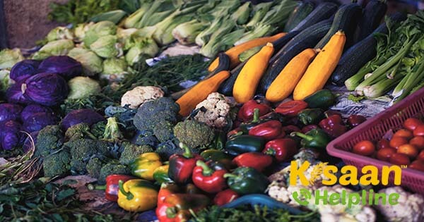 जानियें संकर सब्जी फसलों की किस्मों के गुण एवं उत्पादन के बारे में