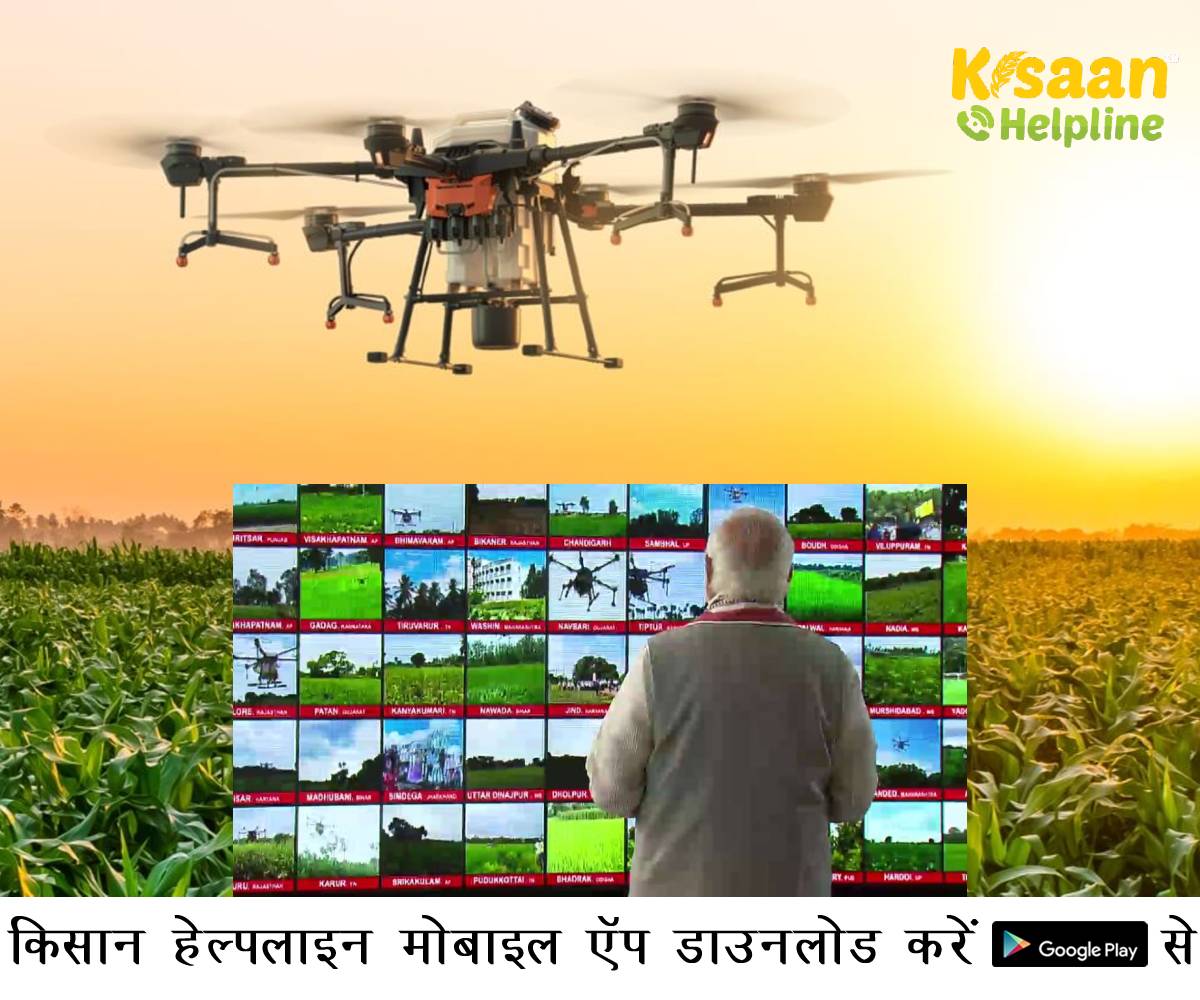 पीएम ने 100 किसान ड्रोन को हरी झंडी दिखाई, कहा ड्रोन क्षेत्र कृषि को और अधिक लाभदायक बना देगा