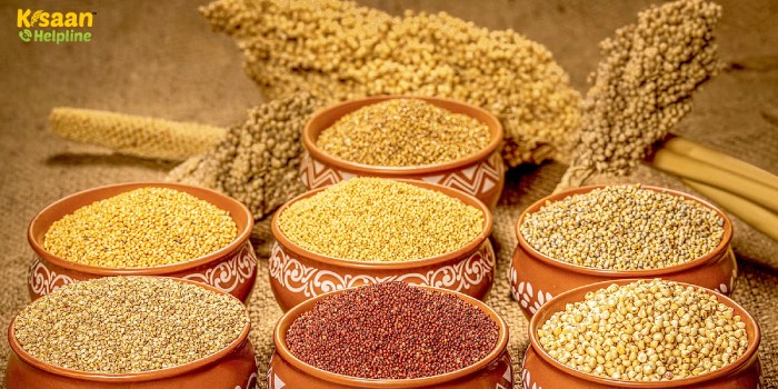 मोटे अनाज को बढ़ावा देने के लिए कृषि मंत्रालय ने नाफेड को शामिल किया मोटे अनाज को बढ़ावा देने के लिए कृषि मंत्रालय ने नाफेड को शामिल किया