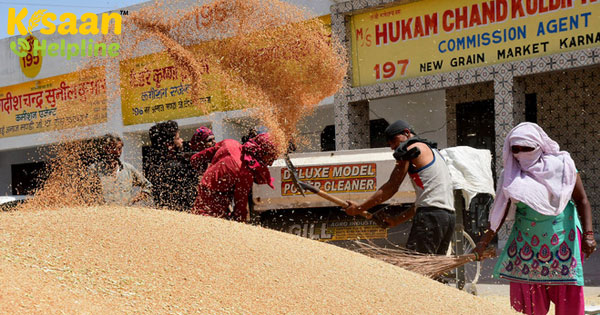 सकारात्मक पक्ष: बड़े खरीदारों के साथ सीधे संपर्क में किसान सकारात्मक पक्ष: बड़े खरीदारों के साथ सीधे संपर्क में किसान