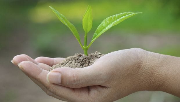 कैसे शुरू करें जैविक खेती का व्यवसाय, आइये इसकी प्रक्रिया को जानते है! कैसे शुरू करें जैविक खेती का व्यवसाय, आइये इसकी प्रक्रिया को जानते है!