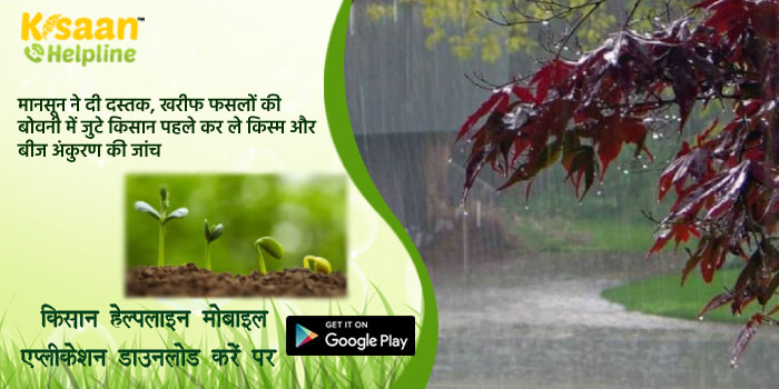 मानसून ने दी दस्तक, खरीफ फसलों की बोवनी में जुटे किसान पहले कर लें किस्म और बीज अंकुरण की जांच मानसून ने दी दस्तक, खरीफ फसलों की बोवनी में जुटे किसान पहले कर लें किस्म और बीज अंकुरण की जांच